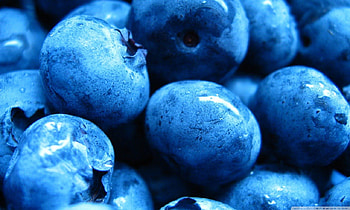 Blueberries Macro, sweet, blue, round, wet, fruit, petite, macro HD wallpaper