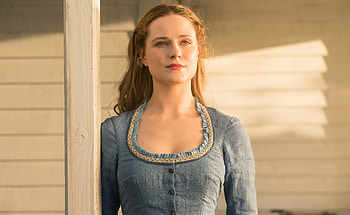 Dolores In Westworld, westworld, tv-shows, girls HD wallpaper