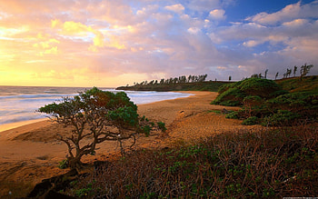 sunset beauty, beachview, sunset HD wallpaper