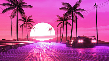 Neon, Palm Trees HD wallpaper