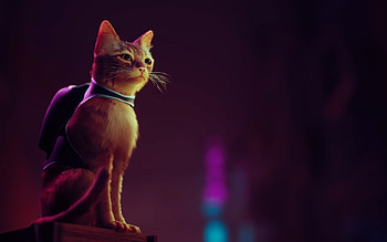 Stray game, Monocle-wearing cat, Unique , Cat with monocle HD wallpaper