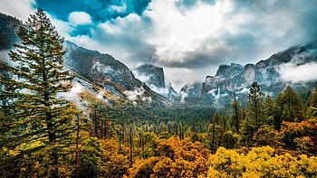 Yosemite Valley, California, leaves, fall, autumn, landscape, trees, colors, forest, usa HD wallpaper