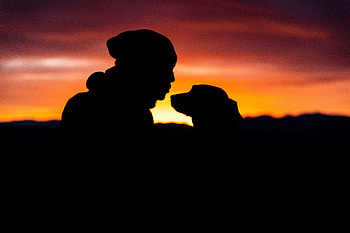 Dark, Dog, Silhouettes, Human, Person HD wallpaper