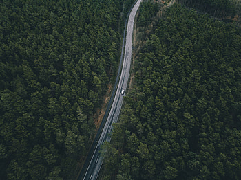 View From Above, Nature, Trees, Road HD wallpaper