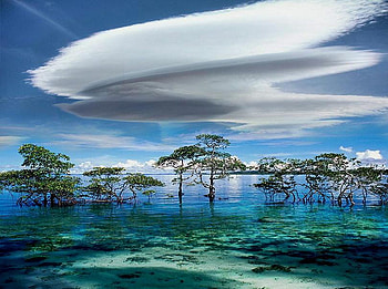 Clouds, water and trees, blue sky, unusual cloud, green, trees, water clear blue water HD wallpaper