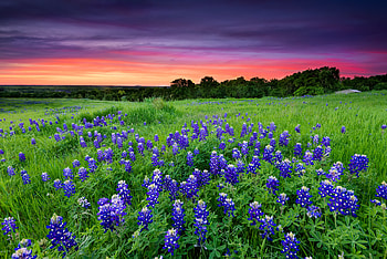 Texas Hill Country, Charming small towns HD wallpaper