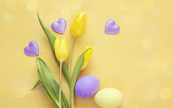 Happy Easter!, blue, egg, tulip, flower, yellow, card, easter, lalea HD wallpaper