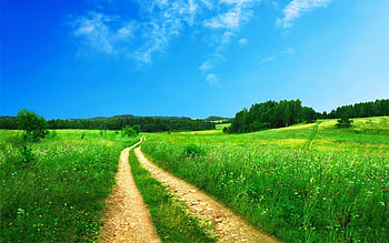 Landscape, Fields HD wallpaper
