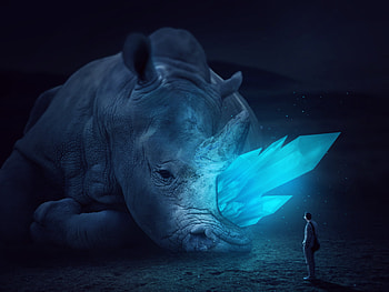Rhino Ultra , Animals, Beautiful, Charm, Magic, Sudan, Nice, Effect, Camera HD wallpaper