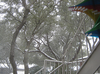 winter 2014, winter, snow, trees, nature, ice HD wallpaper