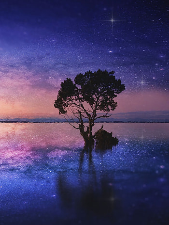 Silhouette, tree, lake, starry night HD phone wallpaper