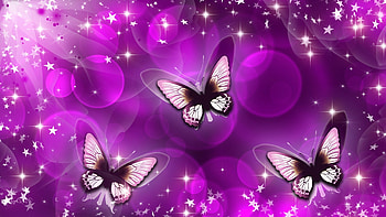 3d com animated butterfly animated butterfly . HD wallpaper