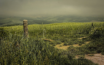 Landscape, Nature, Night, Field, Fence HD wallpaper