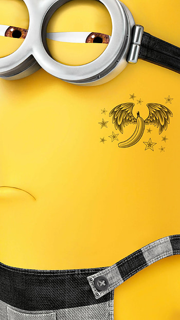 Despicable Me 3 , Minions silliness, Animated joy, Fun characters HD phone wallpaper