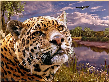 big cat.............., river, cat, leopard, eagle HD wallpaper