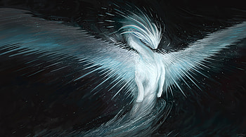 God Of Dragons , dragon, artist, artwork, digital-art, deviantart HD wallpaper