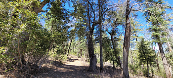 Hiking in Greater San Diego County Landscape graphy, forest, Southern California, California, landscape, hiking, graphy, nature HD wallpaper