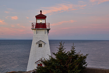 Nature, Sea, Building, Spruce, Fir, Lighthouse, Nautical, Maritime HD wallpaper