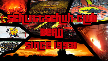 SC Bern 19931, gta, nla, swiss, sc bern, collage, scb, eishockey, sportklub, 1931, fans, schweiz, choreo, icehockey, switzerland, bern, fankurve HD wallpaper
