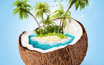 Coconut Island, Palm trees, Art, Beach, Birds, Sky HD wallpaper