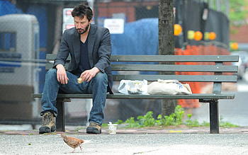 Celebrity, Keanu Reeves HD wallpaper