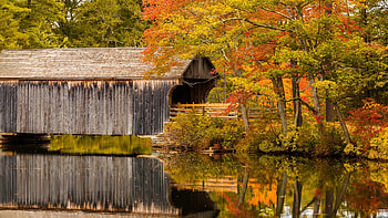 Old Covered Bridge in Fall, Bridges, Trees, Fall, Rivers, Nature, Autumn HD wallpaper