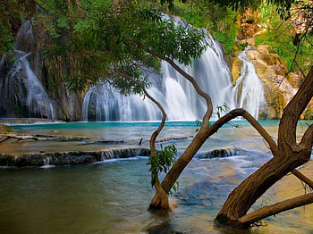 Forest falls, falls, river, nature, forest HD wallpaper