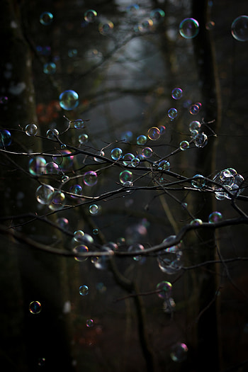 Trees, Bubbles, Miscellanea, Miscellaneous, Branches, Bubble HD phone wallpaper