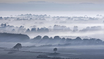 Fog Trees, fog, trees, nature, sky HD wallpaper