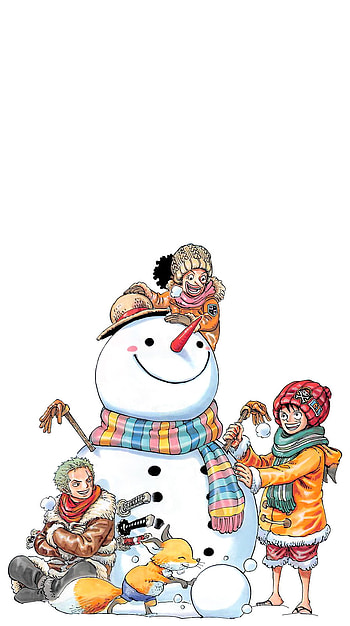 Luffy, Anime, Ussop, Zoro, One Piece, Manga HD phone wallpaper