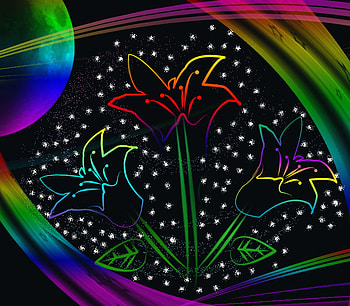 Garden of Dreams, magic, colours, flowers, moonlight HD wallpaper