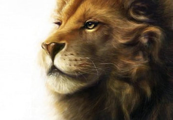 Leo the Lion, animal, lion HD wallpaper
