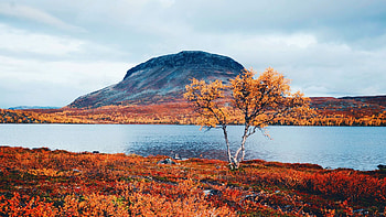 Autumn colors, Saana, northern Finland, leaves, hill, river, clouds, colors, sky HD wallpaper