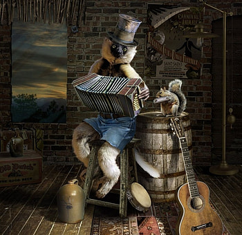 Fantasy, animal, music, art, painting, pictura, funny, acordeon, squirrel, guitar HD wallpaper