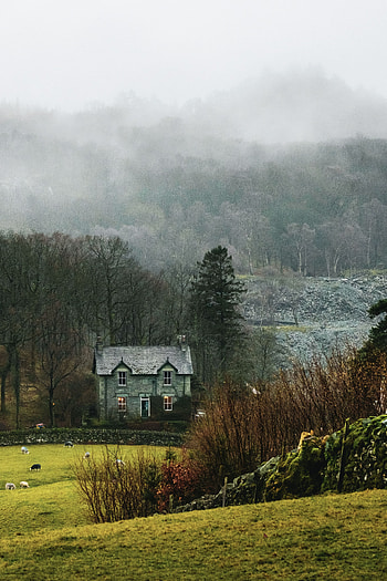 Landscape, Nature, Grass, Fog, House, Village HD phone wallpaper
