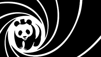 Vector panda , Artistic and vibrant, High-resolution , Unique designs HD wallpaper