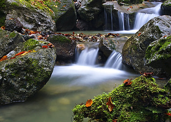 Between Water, graphy, beautiful, grass, rocks, nice, green, waterfall, nature, amazing, water, forest HD wallpaper