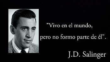 Jerome David Salinger, American author, Contemporary literature, J.D. Salinger HD wallpaper