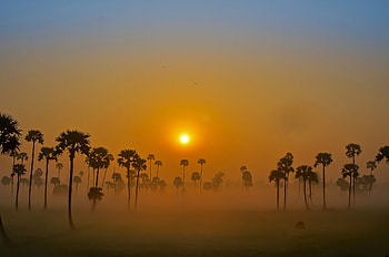 Sunset , quality, Wetter dream, Serene beauty HD wallpaper