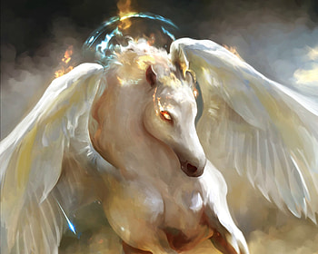 Pegasus, wings, white, fantasy, art, luminos, madboni, creature HD wallpaper