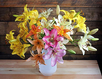 Flowers, Buds, Bouquet, Vase, Lily HD wallpaper