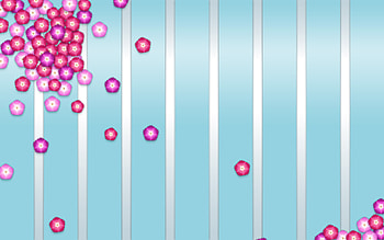 Pinks HD wallpaper