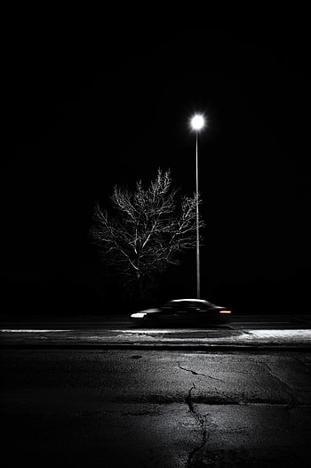Wood, Tree, Car, Blur, Lamp, Lantern, Bw, Chb, Speed HD phone wallpaper