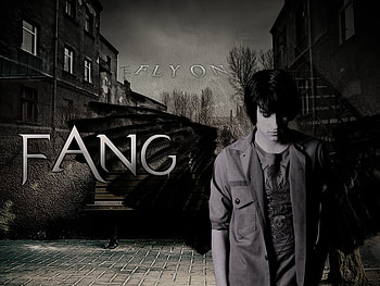 Maximum Ride - Fang, fang, book, james patterson, the flock, gabrielle charbonnet, maximum ride, the angel experiment HD wallpaper