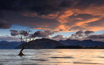 Birds on a tree, birds, beautiful, dusk, lakes, clouds, nature, waters, mountains, calm HD wallpaper