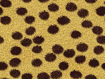 Cheetah Print, skins, cheetah, prints HD wallpaper