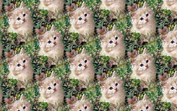 Kitten texture, animal, kitten, green, texture, cat, paper, pattern HD wallpaper