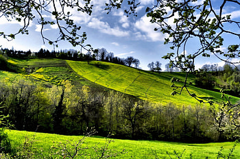 Tree-covered hills, Tranquil haven, Serene landscapes, Nature's embrace HD wallpaper