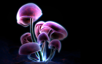 Neon Mushrooms Wide Background HD wallpaper