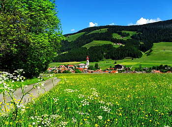 Cycling holiday, weekend, spring, houses, nice, wildflowers, holiday, vely, trees, greenery, bike, road, cycling, slopes, mood, path, meadow, beautiful, grass, cabin, summer, pretty, field, freshness, green, nature, sky, flowers, cottage, lovely, village, countryside HD wallpaper